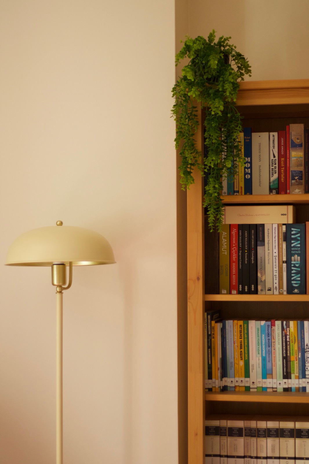 A quiet practice room with bookshelves and a floor lamp